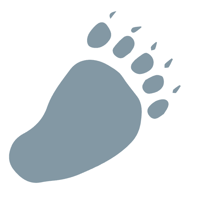 Bottom right decoration